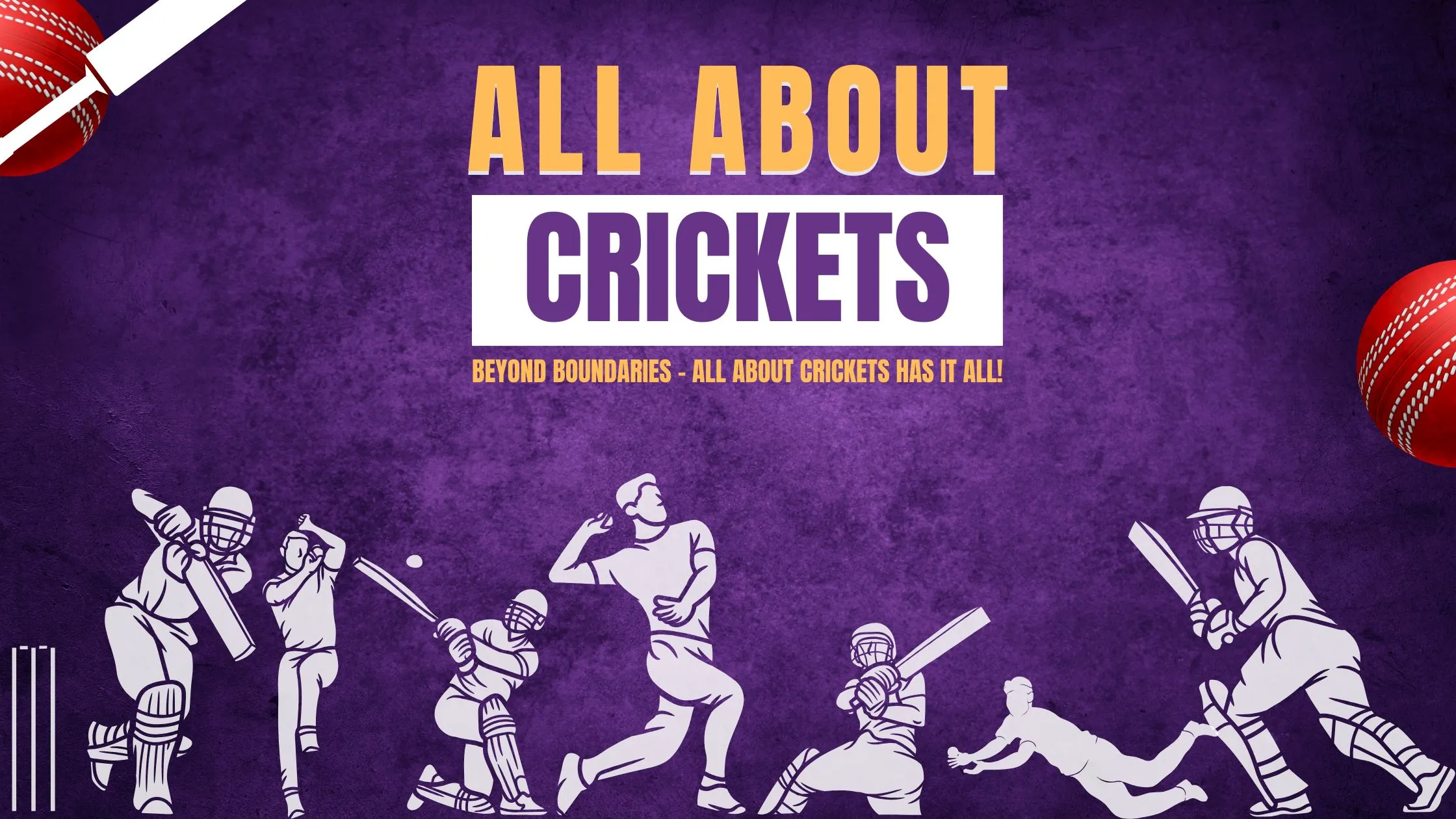 All About Crickets blog banner with cricket players in action on a purple background and the tagline "Beyond Boundaries – All About Crickets Has It All!